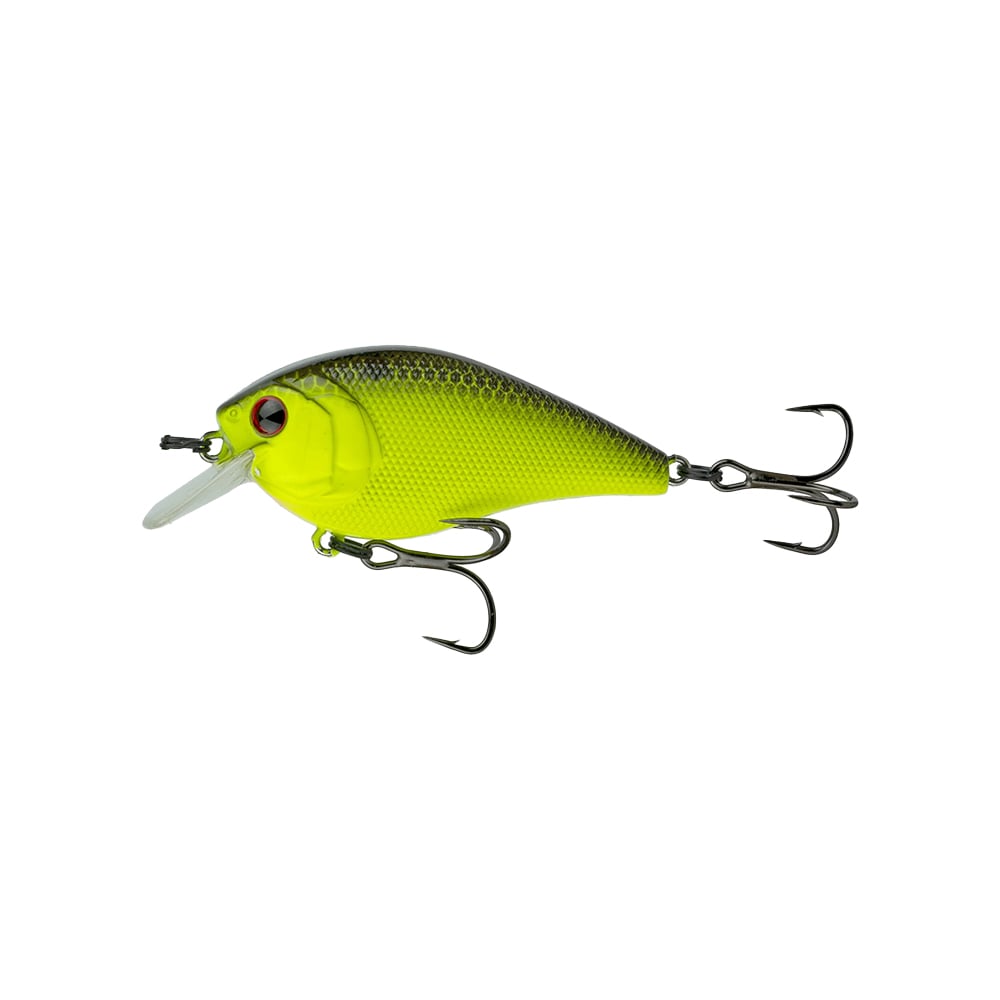 Chartreuse Black Back