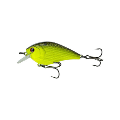 Chartreuse Black Back