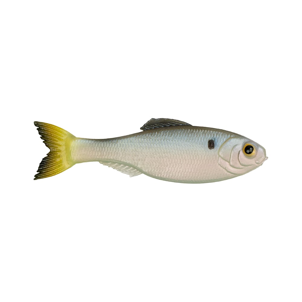 6th Sense Panorama Baitfish Clearwater Shad