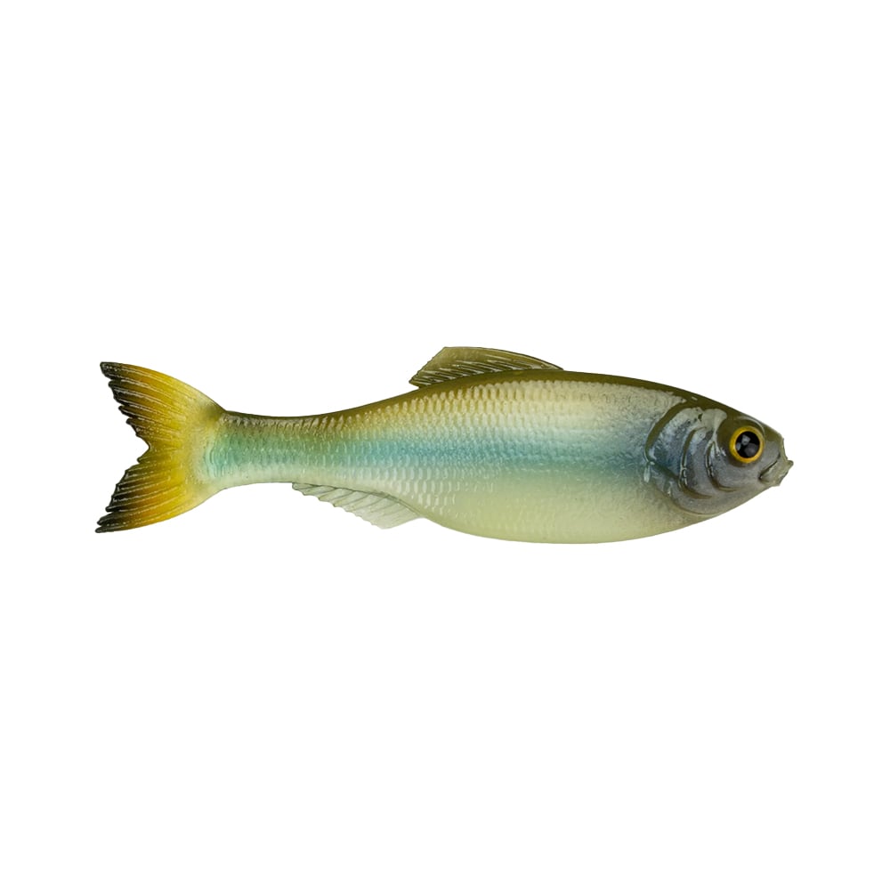 6th Sense Panorama Baitfish Ghost Minnow