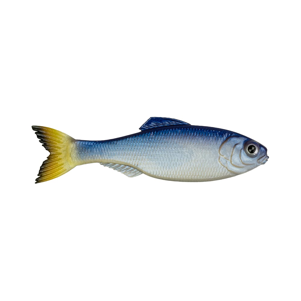 6th Sense Panorama Baitfish Glass Minnow