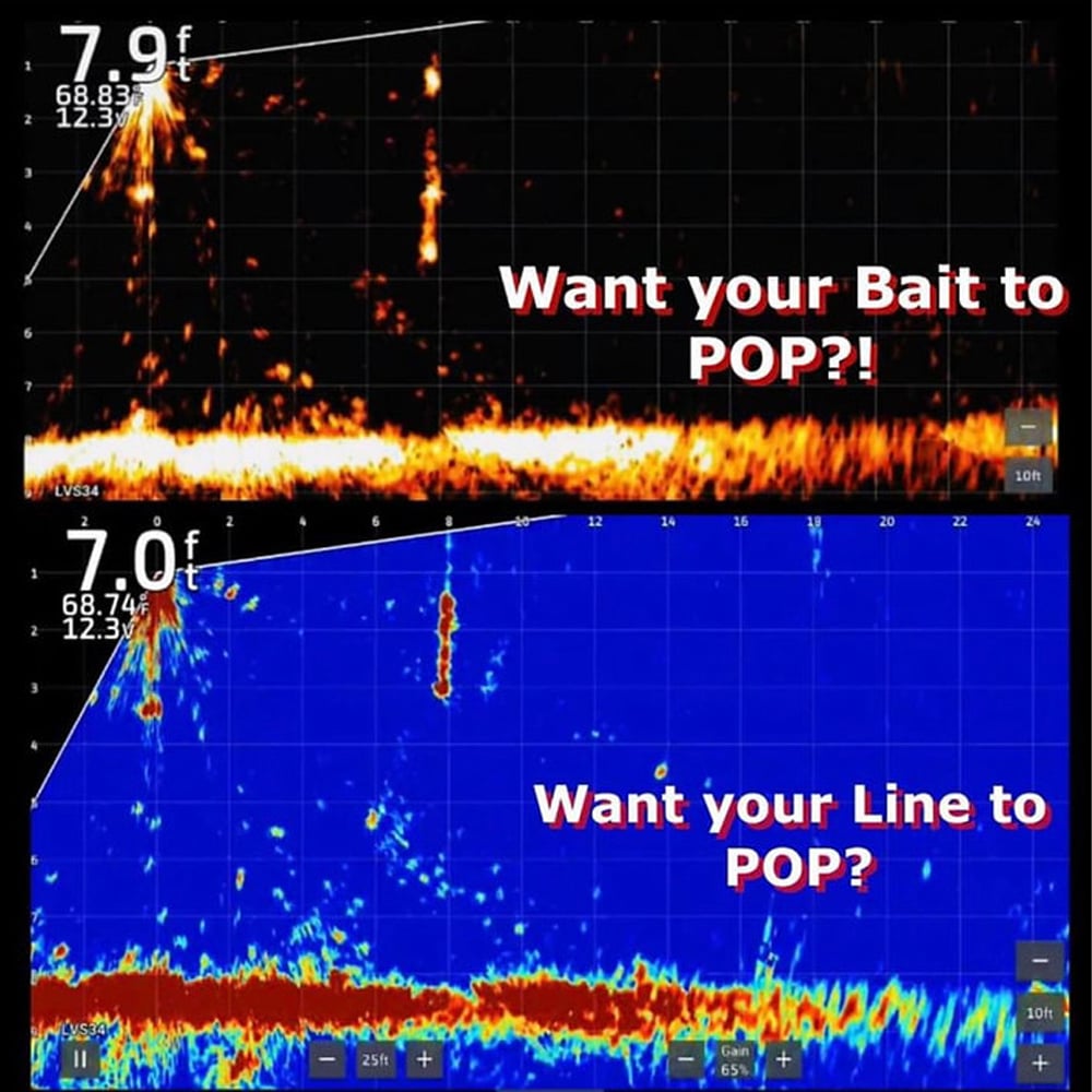 The Original Fish Formula Bait Pop Live Sornar Intensifier Results