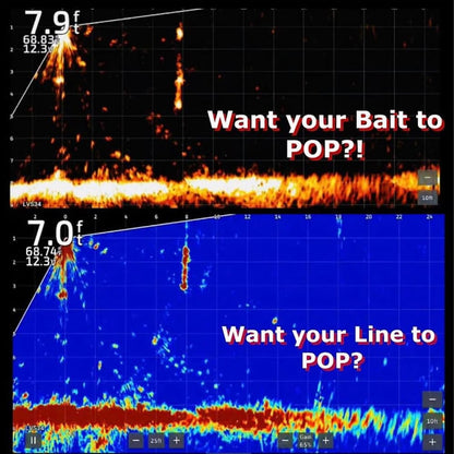 The Original Fish Formula Bait Pop Live Sornar Intensifier Results