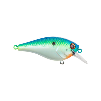 Berkley Squarebull Crankbait Big Money