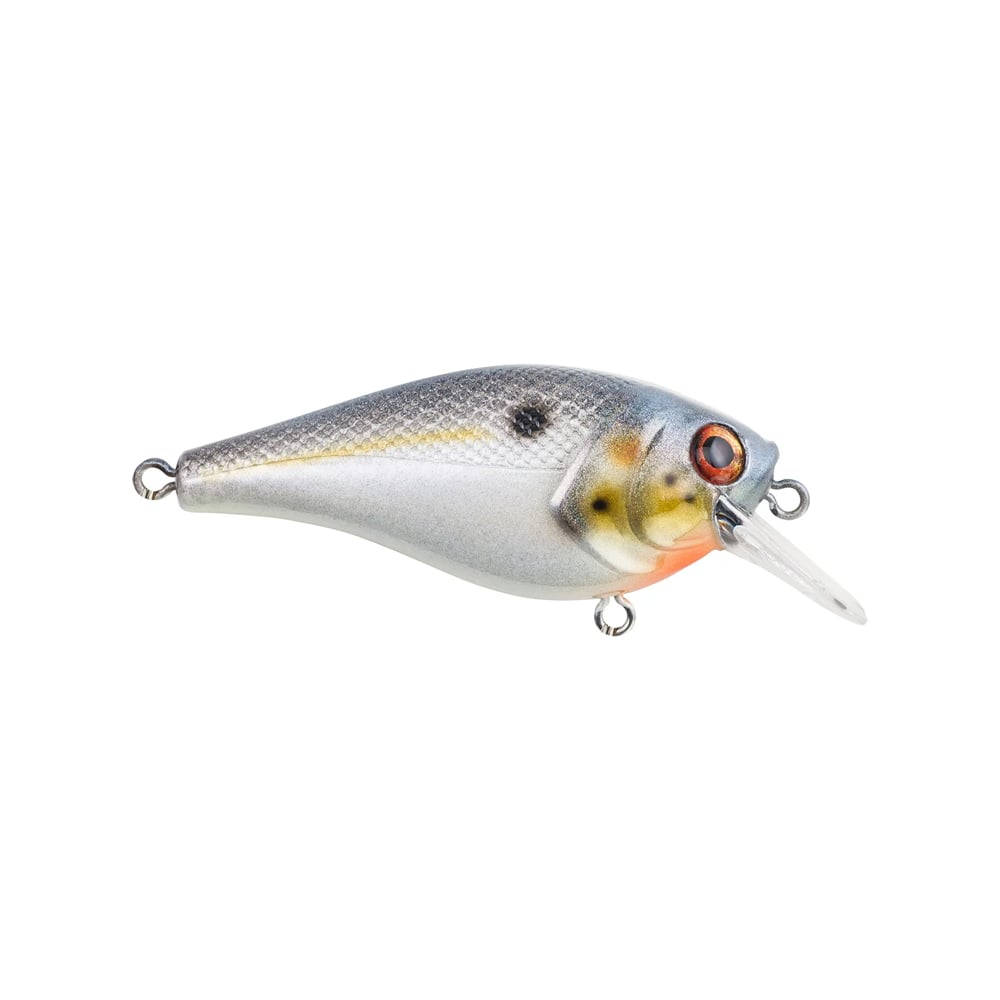 Berkley Squarebull Crankbait Sexier Shad