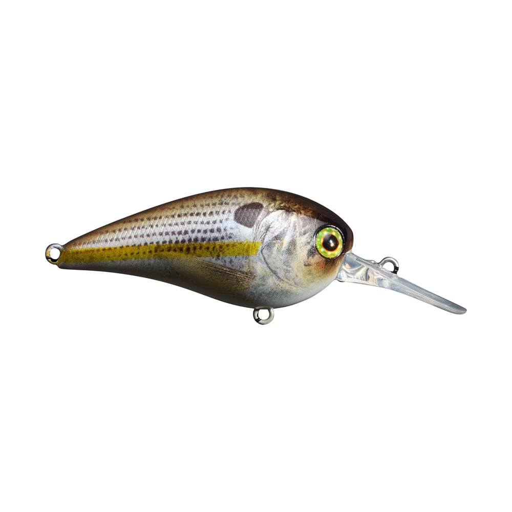 The Jackall MC60 MR Crankbait by Jackall is a lifelike, multicolored fishing lure designed with a fish-inspired appearance. It features a shiny body and a transparent, angular diving lip. Its round eyes and small metal rings allow for effortless attachment, while its low center of gravity provides a rapid wobble to attract fish.