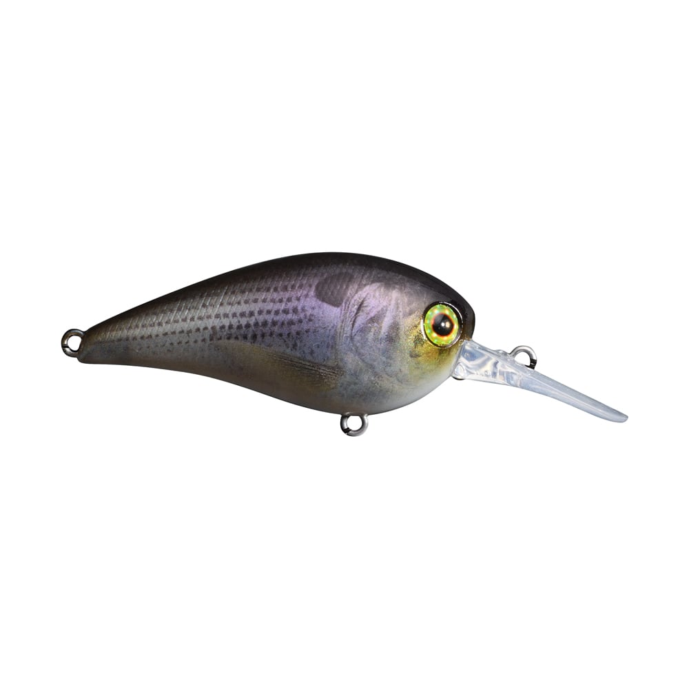 The Jackall MC60 MR Crankbait from Jackall is a lifelike fishing lure that showcases a shiny, multi-colored body and a transparent bill, designed to imitate a small fish. This crankbait features detailed scales, a large reflective eye, and attachment loops at both the front and rear, allowing for adjustable diving depths to elevate your angling adventures.