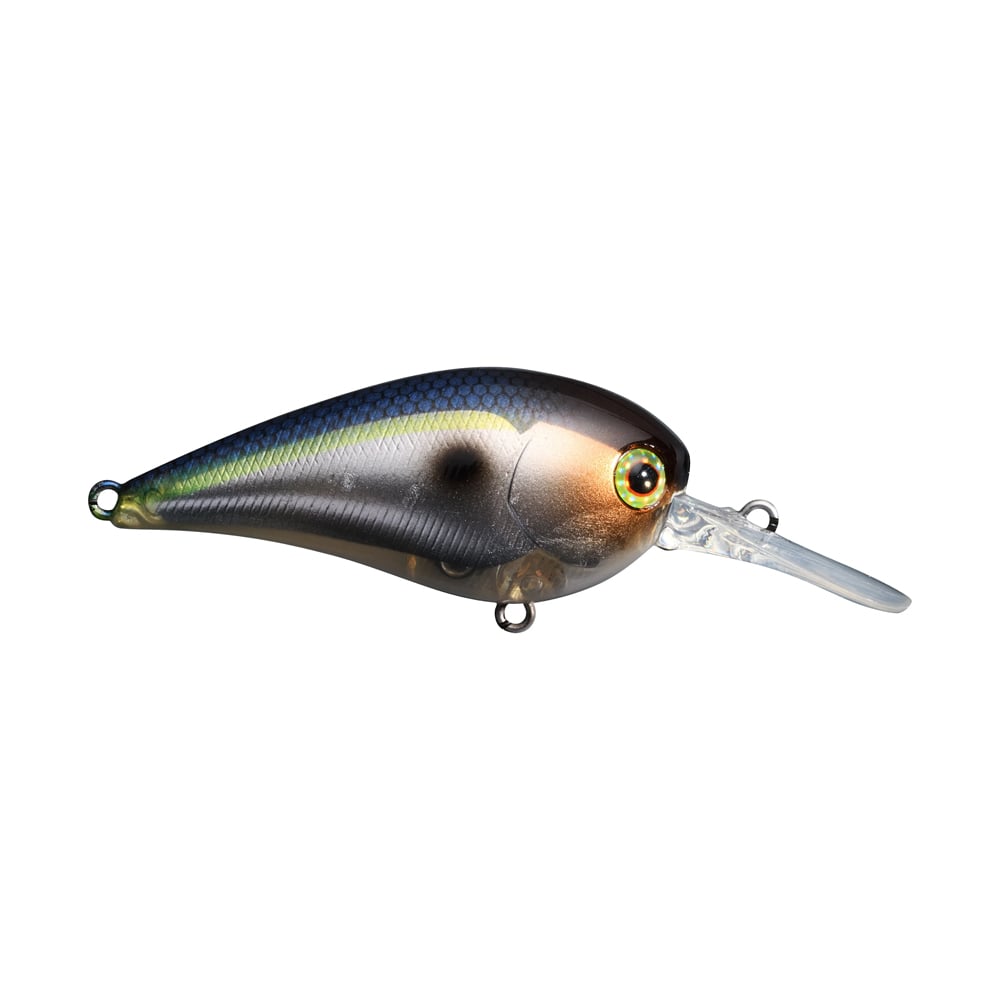 The Jackall MC60 MR Crankbait by Jackall is a lifelike plastic fishing lure designed to mimic a small fish, featuring a glossy, multicolored body in shades of blue, brown, and yellow. It is crafted with a low center of gravity and includes a transparent lip for diving, providing a quick wobble that attracts strikes.