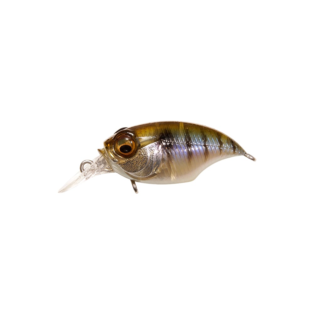 Megabass SR-X Griffon BFS Crankbait Gillkko