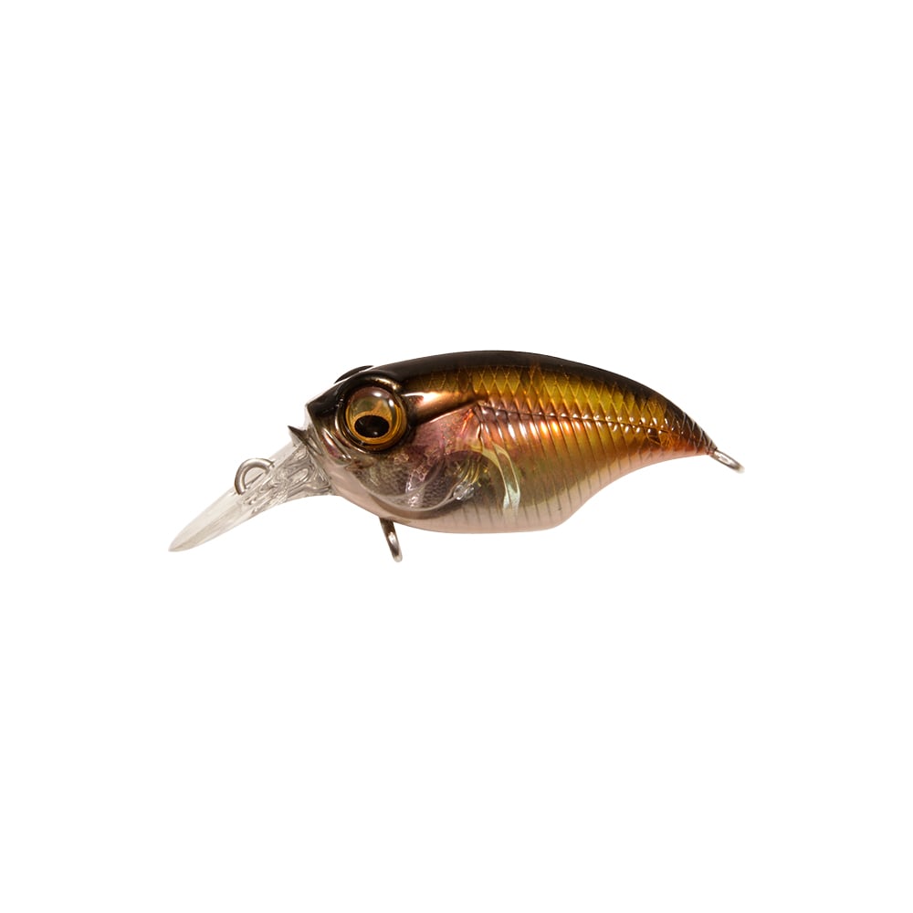 Megabass SR-X Griffon BFS Crankbait GP Kawamutsu