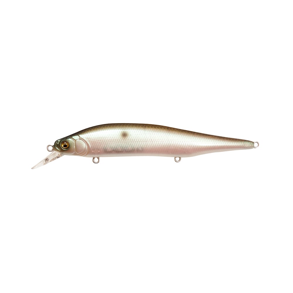 Megabass Ito Shiner Jerkbait MB Gizzard | 0193652907