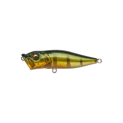 Megabass Pop-X Megabass GG Perch