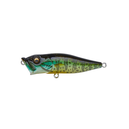 Megabass Pop-X Megabass Pumpkinseed