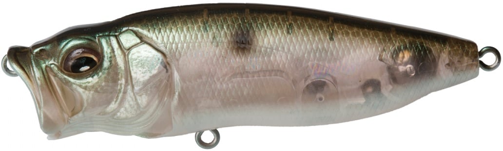 Experience the artistry of the Megabass PopMax topwater lure, featuring a lifelike fish design with a metallic olive-green back and silver sides. It includes detailed scales, three eyelets for line/hooks, and is inspired by the Megabass gill system for enhanced performance.