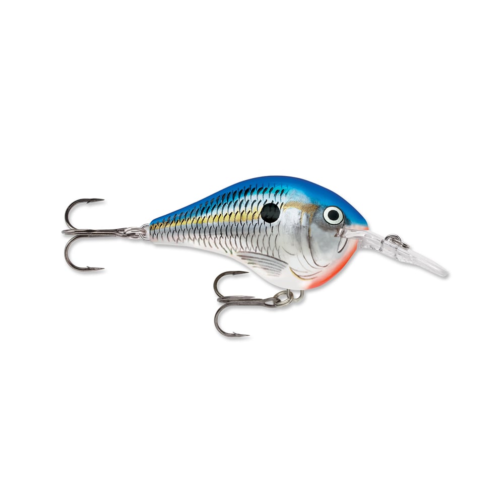 The Rapala DT Series Crankbaits by Rapala feature a vibrant blue and silver fish-like design with realistic scales and an eye. This balsa wood crankbait includes two treble hooks—one positioned near the front and another mid-body—and is equipped with a clear plastic lip for diving, along with internal weights to enhance stability.