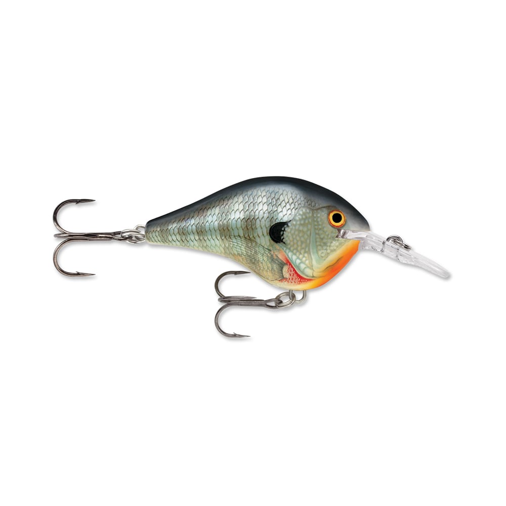 A lifelike fish-shaped fishing lure from Rapala's DT Series Crankbaits, featuring shiny scales, an orange belly, and a transparent polycarbonate lip. It is equipped with two treble hooks and mimics the appearance of a small fish in the water.