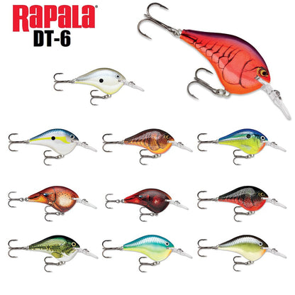 A collection of ten fishing lures is displayed in two rows, each differing in color and pattern and equipped with sharp hooks. In the top left corner, "Rapala DT-6" is prominently displayed in red and black text. This lure is part of the reputable Rapala DT Series Crankbaits, celebrated for their lifelike balsa wood construction and effective crankbait action.