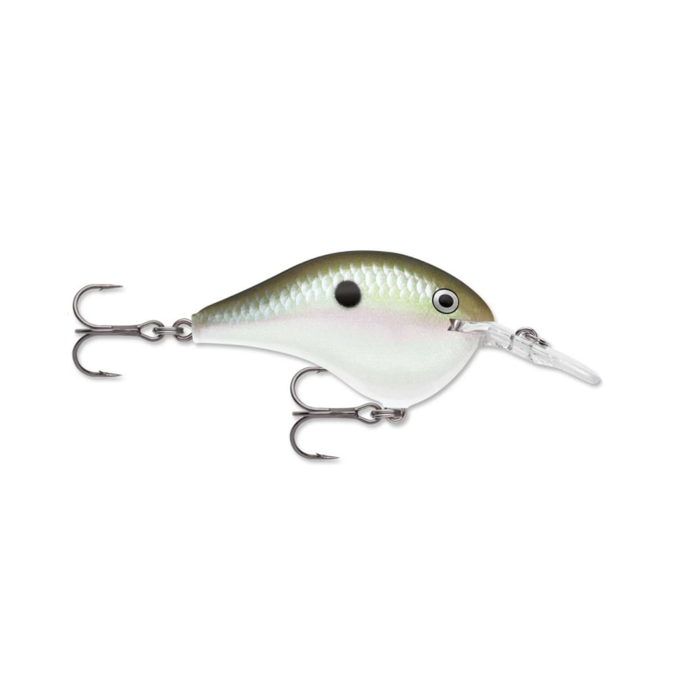 The Rapala DT Series Crankbaits by Rapala feature a green and white body adorned with a realistic fish scale pattern. Crafted from balsa wood, these crankbaits exhibit excellent crankbait action and are equipped with two treble hooks and a clear plastic lip at the front.