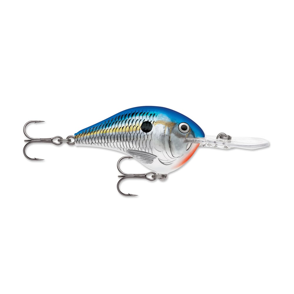 The Rapala DT Series Crankbaits by Rapala, made from balsa wood, showcase a blue and silver body with an orange belly and a realistic fish scale pattern. Equipped with two sharp treble hooks and a clear plastic lip for deep diving action, it's perfect for attracting the big catch.