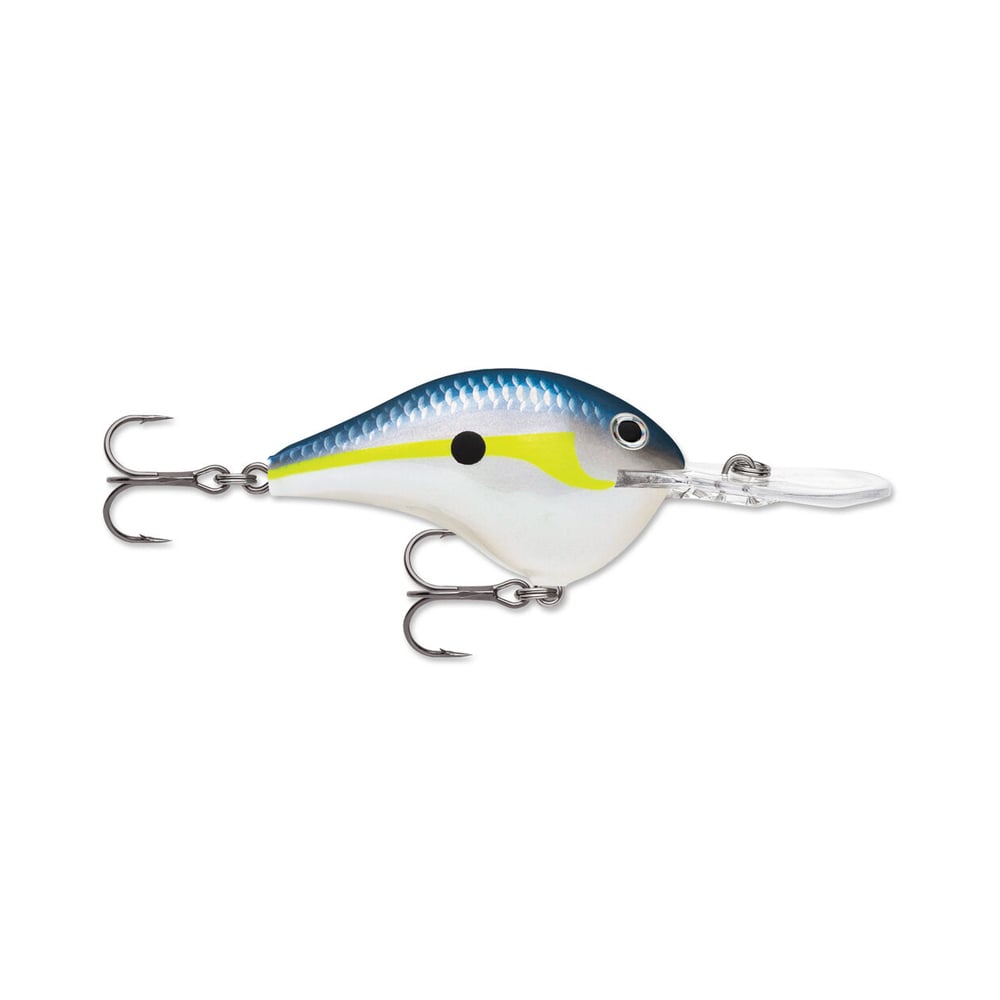 A vibrant fishing lure from the Rapala DT Series Crankbaits collection, this model features a shiny blue and yellow top, a white belly, and is equipped with two treble hooks. Designed for precise deep diving action, it also boasts a black eye and a small front lip.