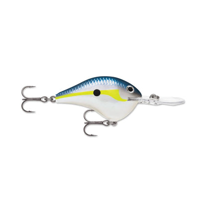 A vibrant fishing lure from the Rapala DT Series Crankbaits collection, this model features a shiny blue and yellow top, a white belly, and is equipped with two treble hooks. Designed for precise deep diving action, it also boasts a black eye and a small front lip.