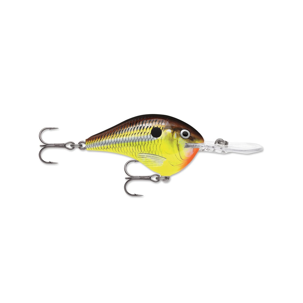 Rapala DT Series Crankbait DT08 Hot Mustard