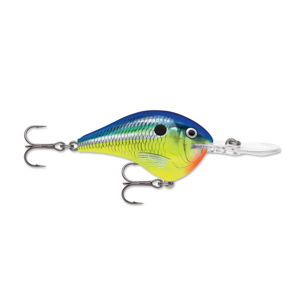 Rapala DT Series Crankbait DT08 Parrot