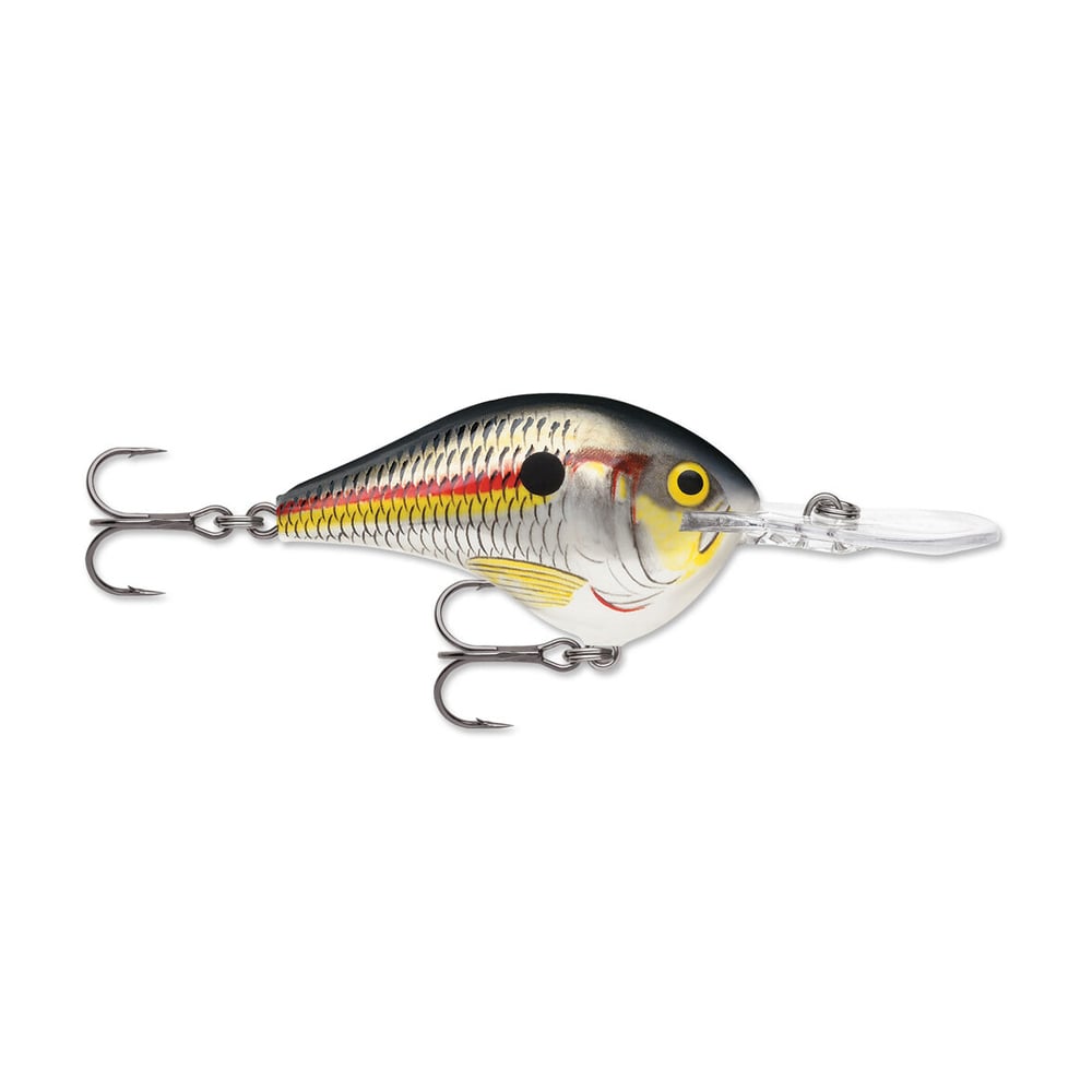 Rapala DT Series Crankbait DT08 Shad