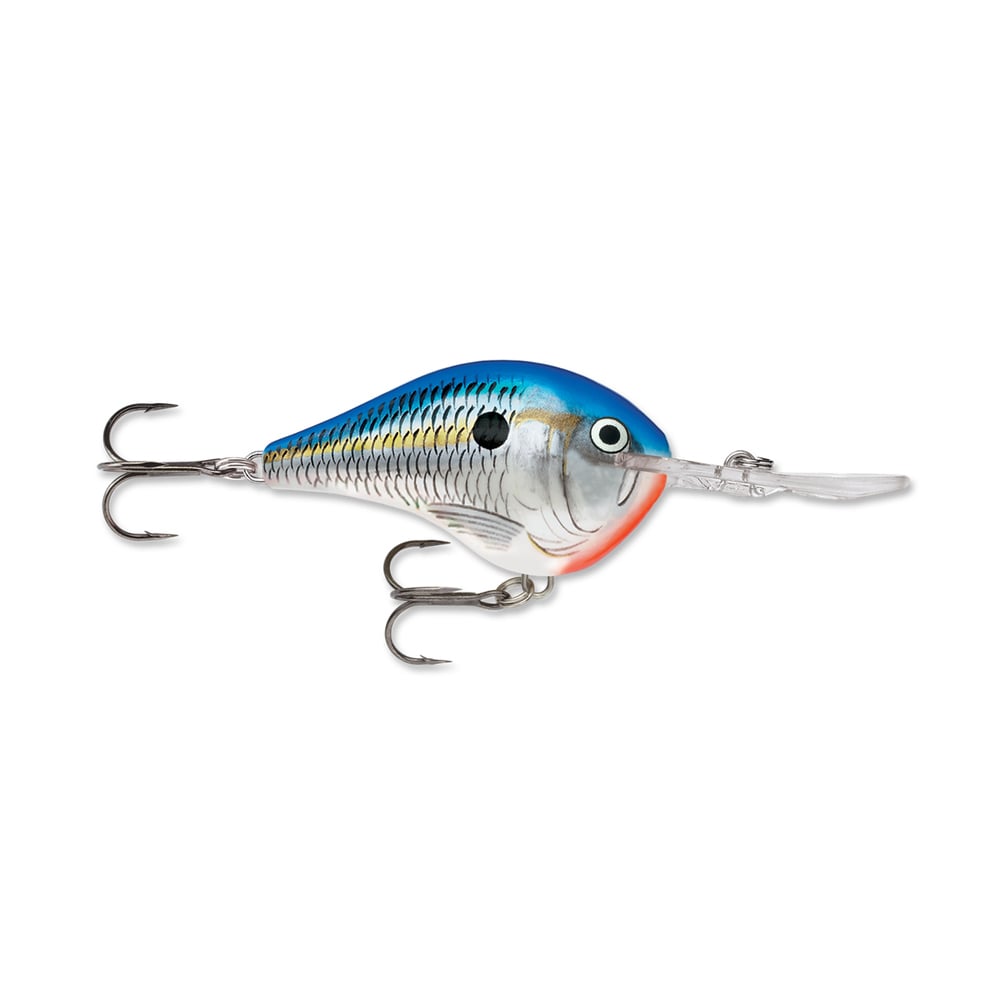 A vibrant fishing lure designed with Rapala DT Series Crankbaits technology from the renowned brand Rapala, showcasing a blue and silver scaled body adorned with red accents around the mouth and a distinctive black dot near the eye. It is equipped with two treble hooks and features a durable polycarbonate lip for optimal diving.