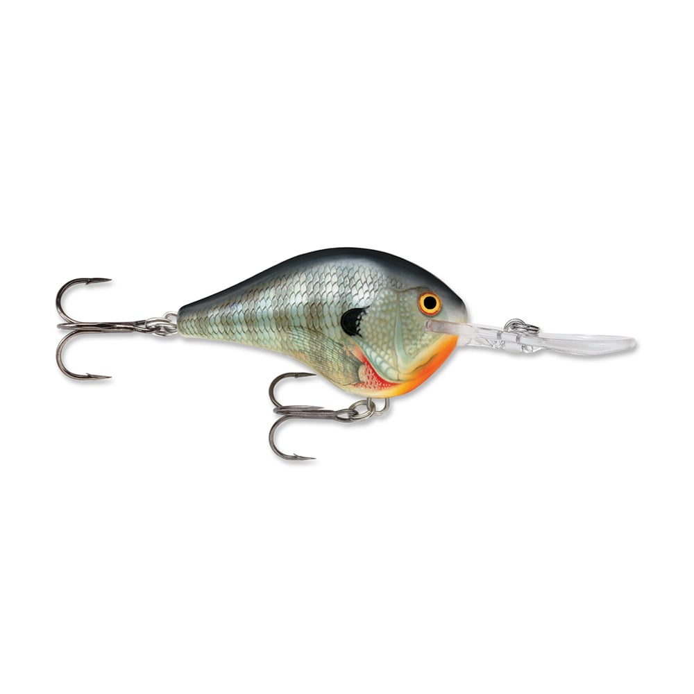 The Rapala DT Series Crankbaits from the Rapala brand is designed in a fish shape with a silver-scale pattern and an orange accent near the mouth. It features two treble hooks and a clear polycarbonate lip for diving.