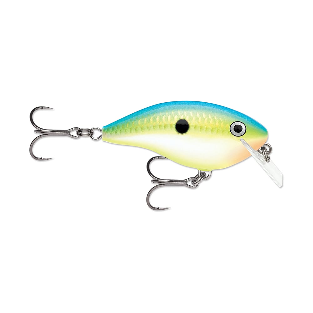 Rapala Ott's Garage OG Rocco 05 Citrus Shad