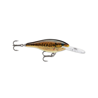 The Rapala Shad Rap Crankbaits by Rapala mimics a baitfish with its realistic fish pattern, featuring two treble hooks and a transparent diving lip. Its crankbait-style body has a brown and gold texture with black markings, perfectly resembling a small fish.