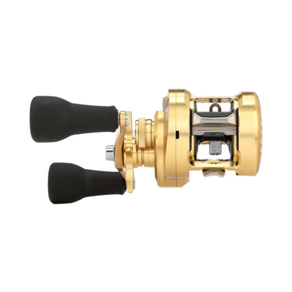 Shimano Calcutta Conquest MD Casting Reel 301XG Rear