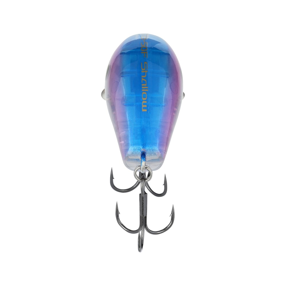 A close-up view of the Shimano Macbeth Shallow 50F Wake Bait reveals its striking blue and purple hues. This lure features a shiny surface and a treble hook at the bottom, with "Shallow" elegantly etched on it, enhanced by its Hybrid Edge round bill design.