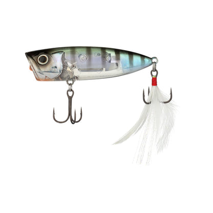 Shimano World Pop Popper Gill