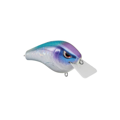 The SPRO Spro Fat Papa Squarebill Crankbait, with a purple and blue fish-like body, features durable Gamakatsu Treble Hooks, a realistic eye design, and a rigid transparent front fin, making it ideal for attracting fish.