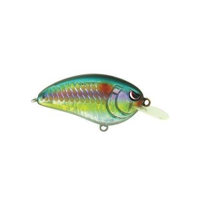 Introducing the SPRO Little John 50 Crankbait, a vibrant fishing lure featuring iridescent scales and a small diving lip. It showcases bright shades of green, blue, and red, enhanced by a realistic fish-eye design and equipped with Gamakatsu trebles. Perfect for anglers aiming for precision, this crankbait delivers an enticing underwater glide.