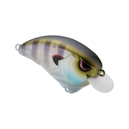 Spro Outsider Crank SR 55 Crankbait Rainbow Bluegill