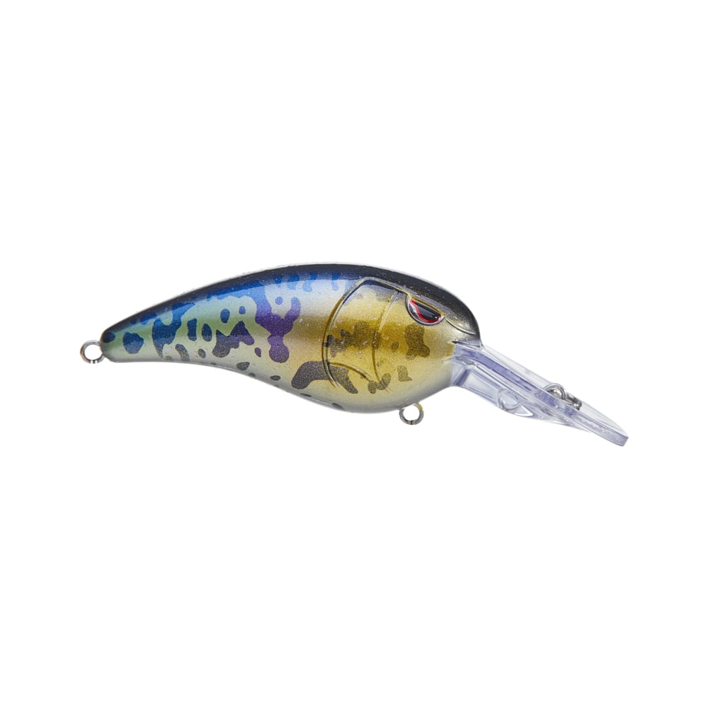 The SPRO Mike McClelland RkCrawler 55 Crankbait features a curved body with a blue-to-gold gradient and black spots, accented by a red eye. Its clear, pointed lip ensures diving depth, while the crankbait design provides wide wobbling hunting action.