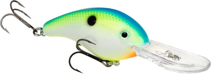 Citrus Shad