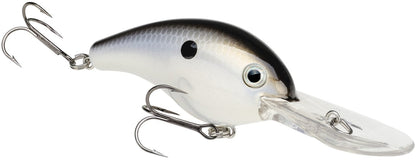 Gizzard Shad