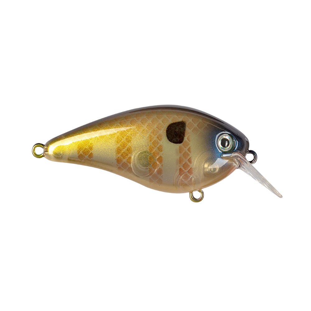 The Strike King KVD 1.5 Hard Knock Squarebill Crankbait is a realistic fish-shaped fishing lure with a shiny, gold and brown pattern, featuring eye detail and a clear plastic lip. This crankbait showcases a smooth, scaled design with two metal loops for attaching lines and hooks, along with Kevin VanDam's signature distinct black spot on its side.