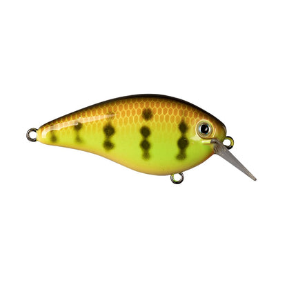 Introducing the Strike King KVD 1.5 Hard Knock Squarebill Crankbait, a yellow and green masterpiece adorned with brown spots. This expertly designed lure features a metallic eye and sharp silver lip, making it perfect for freshwater fishing enthusiasts inspired by Kevin VanDam's relentless pursuit of trophy catches.