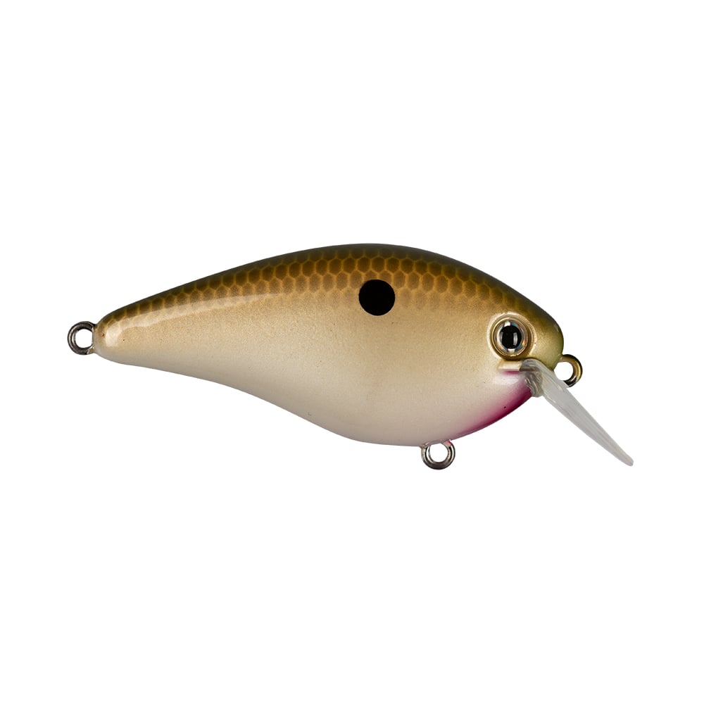 This Strike King KVD 1.5 Hard Knock Squarebill Crankbait, from the brand's line inspired by Kevin VanDam, features a brown top and cream bottom highlighted by a black dot on the side and a silver eye. It is equipped with a clear plastic lip for diving and three metal attachment points, all set against a white background.