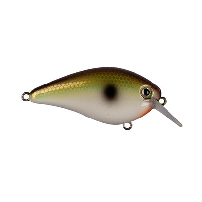 The Strike King KVD 1.5 Hard Knock Squarebill Crankbait by Strike King is a lifelike fishing lure that transitions from dark green to white, highlighting a scale pattern, a prominent eye, and a silver protruding lip. Specially crafted for precise fish-catching, it features two attachment loops and bears the expert signature touch of Kevin VanDam.